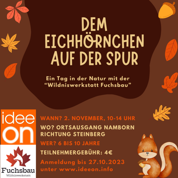 Dem Eichh&ouml;rnchen auf der Spur